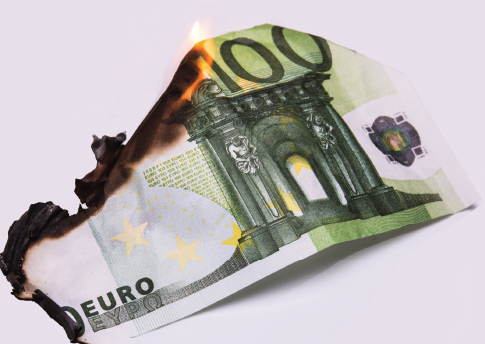 Gezeigt wird ein Hundearteuroschein welcher in Flammen aufgeht.